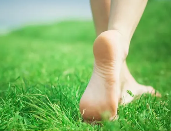 Reasons for heel Pain